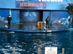 -苏州海洋馆