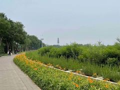 -大兴滨河森林公园