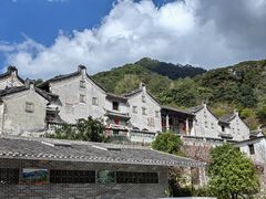 -雁南飞茶田景区