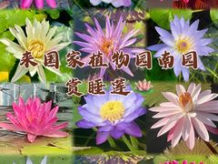 -国家植物园南园