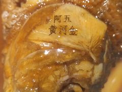 -阿五黄河大鲤鱼(英协路店)