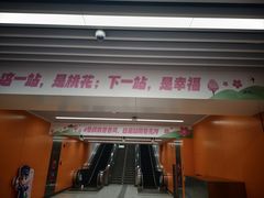 -桃花堤公园
