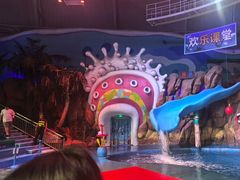 -烟台海昌鲸鲨海洋公园