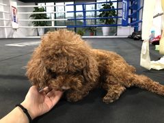 -FIGHTMAN格斗俱乐部(长宁临空店)