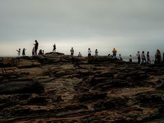 -盐洲岛