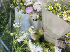 -溪岸路花鸟市场