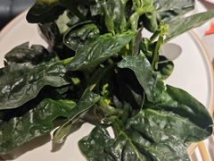 -海底捞火锅(老城根店)