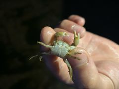 -青岛第三海水浴场