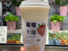 -树夏(来福士店)