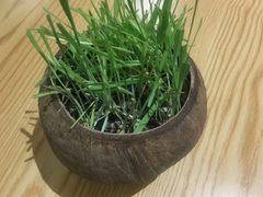 -五月甜品(中山公园店)