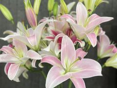 -四季小馆·潤·中国菜(越秀公园店)