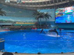 -海合安成都极地海洋公园
