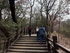 -紫金山山顶公园
