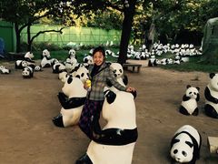 -西安秦岭野生动物园