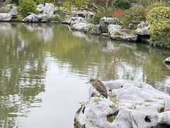 -狼山风景名胜区