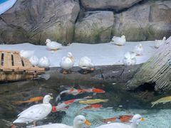 -海合安青岛极地海洋公园