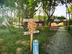 -老龙头景区