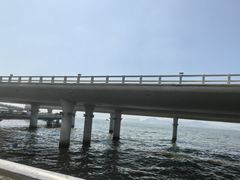 -演武大桥观景平台