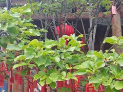-大理文庙(大理古城)