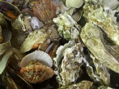 -鼓歌海鲜舫·手抓海鲜(大学城店)