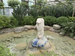 -南宫五洲植物乐园