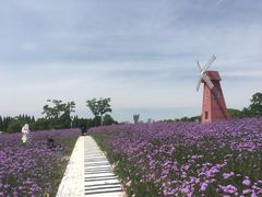 -同里国家湿地公园