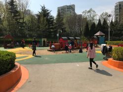 -酷酷兔少儿拓展天地
