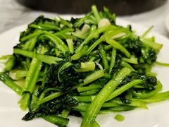 -泸沽肴(泸沽湖大洛水村农村信用社旁店)