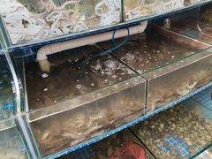 水产区-蟹谢蒸鲜自助餐厅