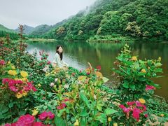 -广州市石门国家森林公园