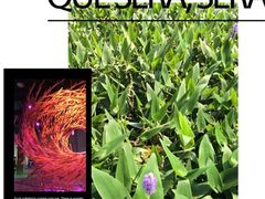 iphone_upload_pic-溱湖国家湿地公园