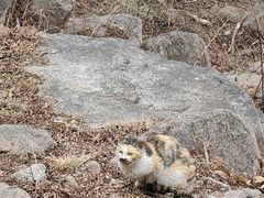 -崂山巨峰游览区