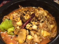 -云海肴·汽锅鸡·云南菜(天山百盛优客店)