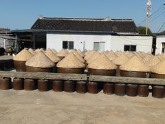 -苏州市吴中区光福窑上花果蜜饯厂