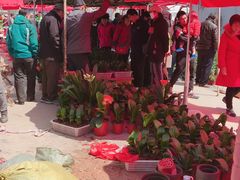 -李村大集