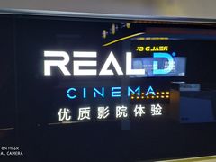 -奥斯卡升龙国际影城(RealD Cinema)
