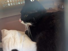 -博特宠物医院24h犬猫全科.骨科·异宠