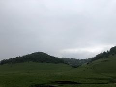 -关山草原