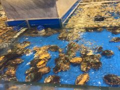 -川骄海鲜自助(河东店)