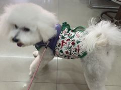 -酷狗靓猫宠物·洗护·美容·寄养(航北路店)