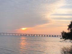 -宝安西湾红树林湿地公园