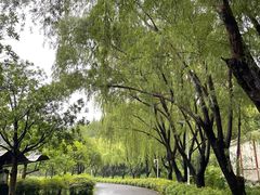 -白塘生态植物园