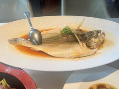 -芙蓉堂(武汉天地店)