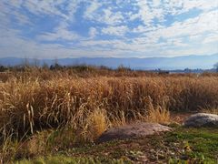 -西昌邛海湿地