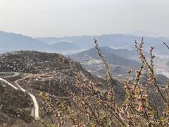 -定都峰