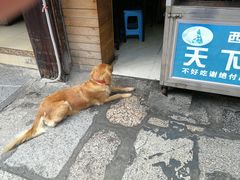 -天下第一饼(西街店)