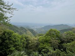 -莫干山风景区