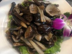 -阿鹏故事野生菌火锅(双廊古镇店)