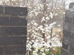 -常州明城墙