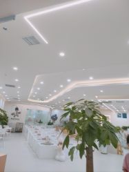 -Moni星球萌宠·小马宝莉·灵蛇·高端高阶全萌宠互动体验俱乐部(红豆国际广场店)